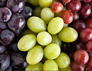 Grapes Exporters