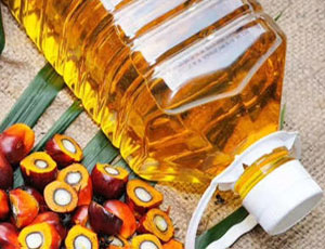 Palm Oil Exporters