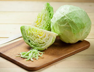 Cabbage Exporters