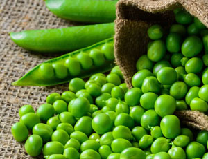 Peas Exporters