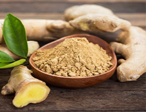 Dry Ginger Exporters