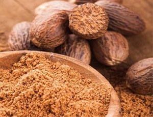 Nutmeg Exporters