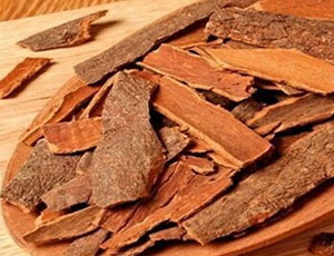 Cinnamon Exporters