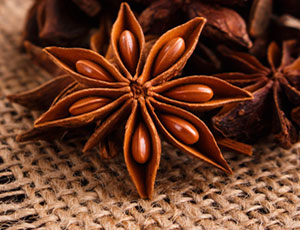 Star Anise Exporters