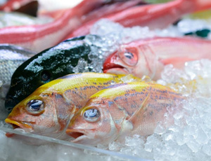 Frozen Fish Exporters