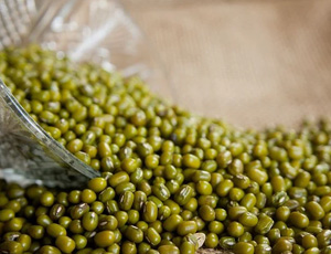 Moong Beans Exporters