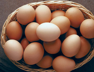 Eggs Exporters