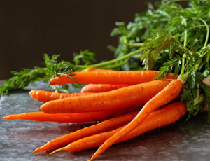 Carrot Exporters