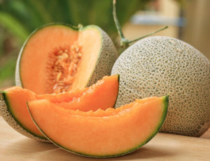 Musk Melon Exporters