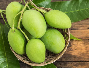 Raw Mango Exporters